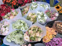 -秦美花卉(天朗·莱茵小城2期店)