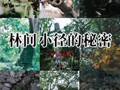 -上海佘山国家森林公园天马山园