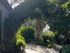 -墨尔本皇家植物园
