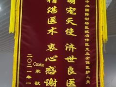 -中农国际动物医院24小时·猫科·骨科·急重症中心