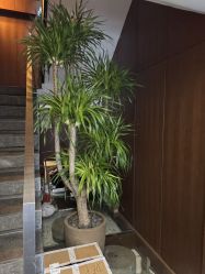 -禾颜社·精致美容