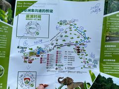 -野象谷景区