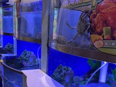 -七欣天香辣蟹火锅(上海奉贤杭州湾生活广场店)