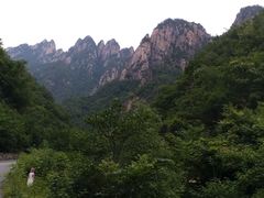 -龙门李家三旦羊肉汤馆
