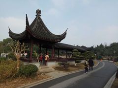 -花溪公园