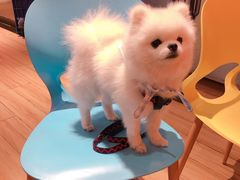 -DQ·蛋糕·冰淇淋(苏州中心店)