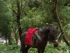 -西岭雪山大飞水景区