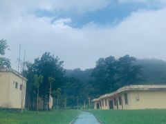 -海南热带雨林国家公园吊罗山景区