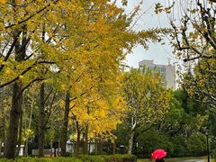 -黄兴公园