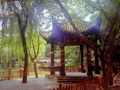 -巴山一绝烤全羊(三圣乡刘家花园店)
