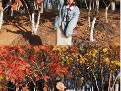 -大兴滨河森林公园