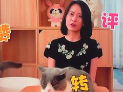 -乐琪宠物(青塔西路店)