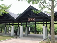 -黄海国家森林公园