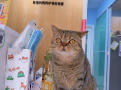 -纳吉亚猫专科动物医院博雅分院
