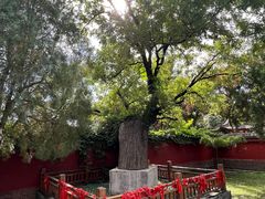 -天宁寺