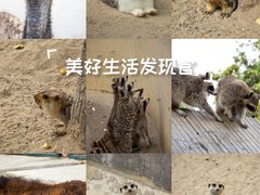 -达蓬山旅游度假区