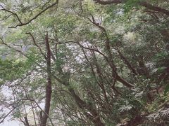 -太鲁阁公园