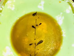 -比亚森自助烤肉料理(裕华店)