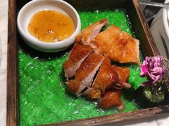 玻璃烧鸭-汤城·料青山