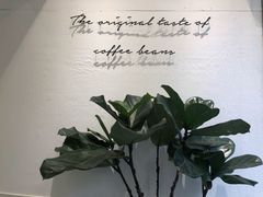 -red donkey coffee