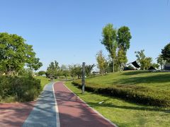 -两河城市森林公园