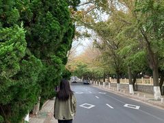 -青岛第三海水浴场