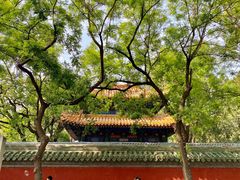 -北京国子监胡同
