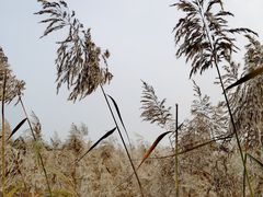 -绿堤公园