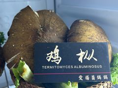 -爱膳菌锅锅(阳南店)