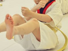 -勇气斑马·巴西柔术&跆拳道(浦东三林店)