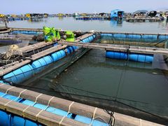 -海上驿站渔家菜馆