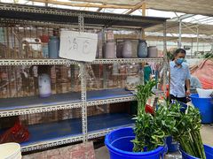 -秦美花卉(天朗·莱茵小城2期店)