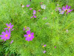 -潭柘厚院(桑峪村店)