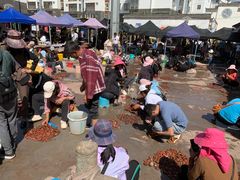 -宋记冕宁土菜馆(海门渔村二店)