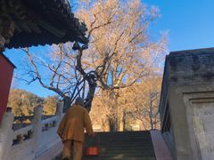 -潭柘寺景区
