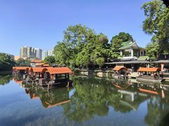 -侨美·唐荔园·40年地道粤菜