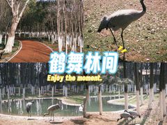-艾溪湖湿地公园