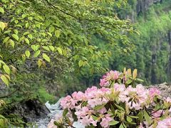 -瓦屋山景区