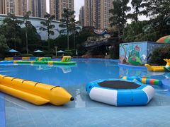 -海合安成都极地海洋公园