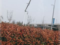 -郑州大剧院