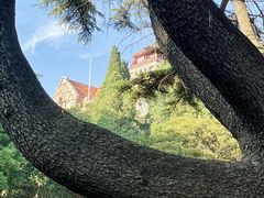 -青岛德国总督楼旧址博物馆