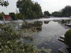 -河北省园博园