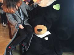 -济州岛泰迪熊博物馆