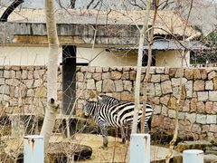-上方山森林动物世界
