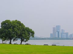-苏州金鸡湖大酒店