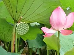 -韶山毛泽东同志故居