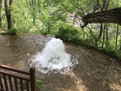 -沕沕水生态风景区