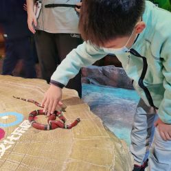 -酷嗒动物文化乐园(cutezoo西溪乐天城店)