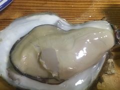 -大富蚝乌东哥饭店·石锅鱼杂·柠檬鸭(革新路店)