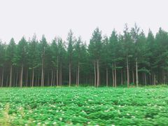 -木兰围场
